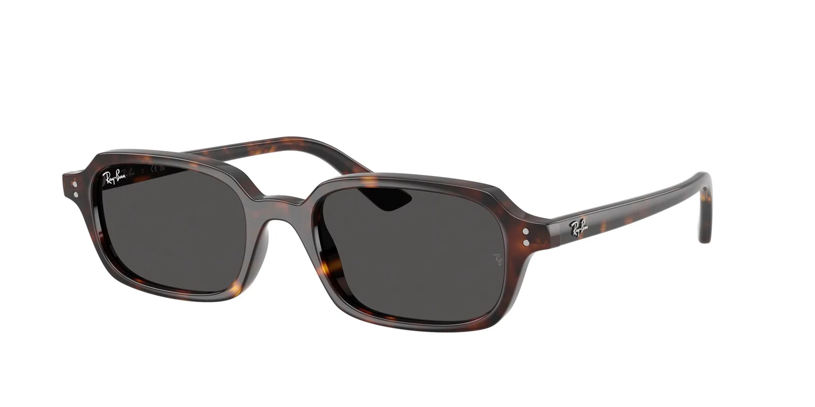 Ray-Ban Zuri 4455 Sunglasses
